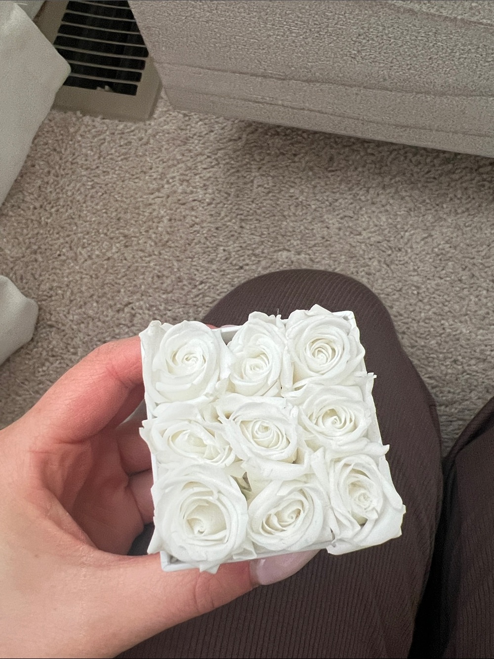 Venus Et Fleur tiny square arrangement